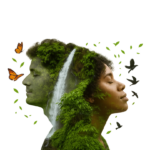 Imagem meio ambiente (1)